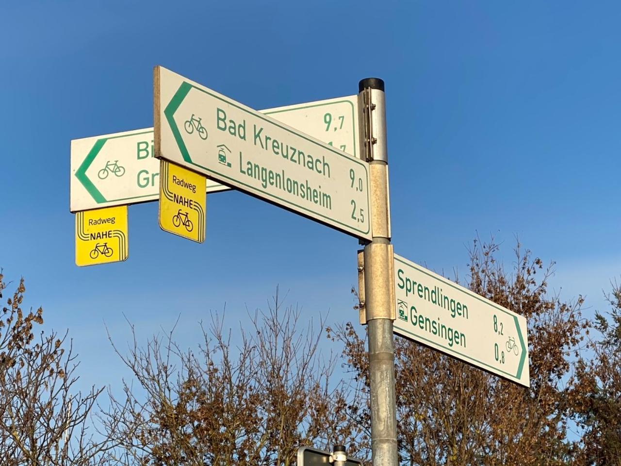 Ferienwohnung Kilz In Gensingen An Der Nahe Esterno foto